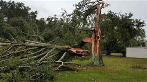 PHOTOS: Severe storm damage across Tampa Bay | wtsp.com