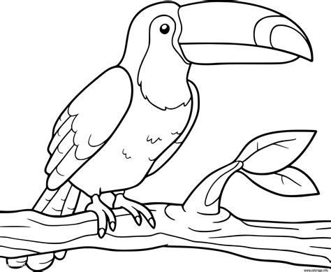 Dessin Toucan Facile Coloriage Toucan Gratuit A Imprimer Et Colorier