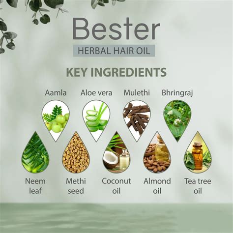 Bester Herbal Hair Oil - Innovative