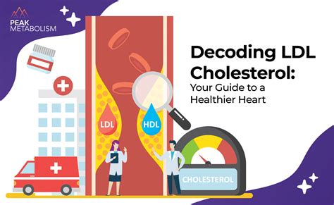 Understanding LDL Cholesterol and the Impact on Your Health