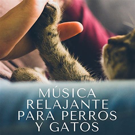 Play Música Relajante para Perros y Gatos by Sonidos de la Naturaleza