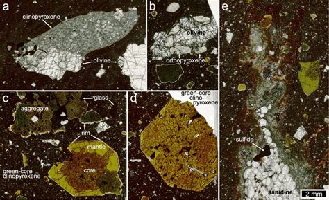 representative examples   important xenoliths  xenocrysts
