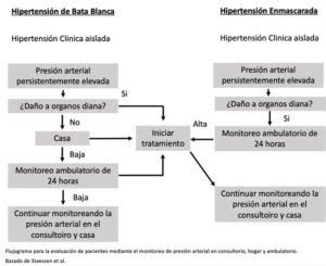 Monitoreo Ambulatorio De La Presi N Arterial Para El Diagn Stico Y