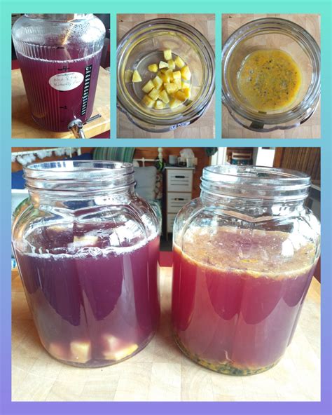 All About Kombucha A Beginner S Book Of The Histo 3