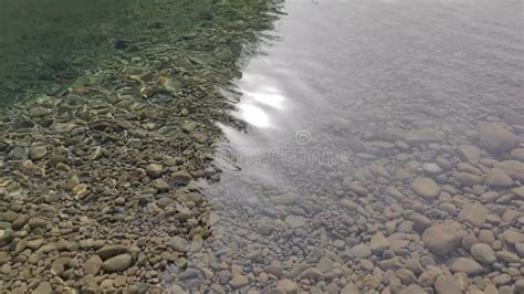 Tranquil Ripples In A Misty Forest Lake Stock Footage Video Of Calm