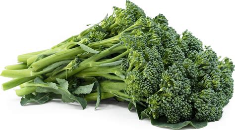 Baby Broccoli Information And Facts