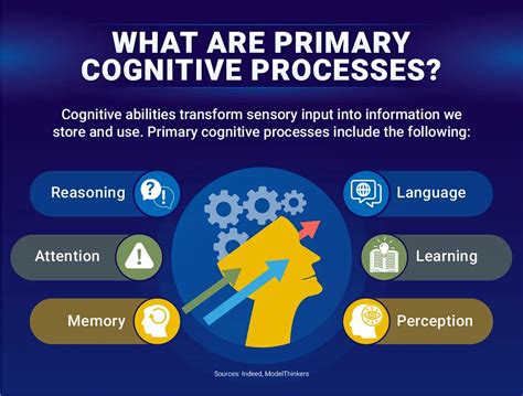 Cognitive Ability What Is It And Its Types