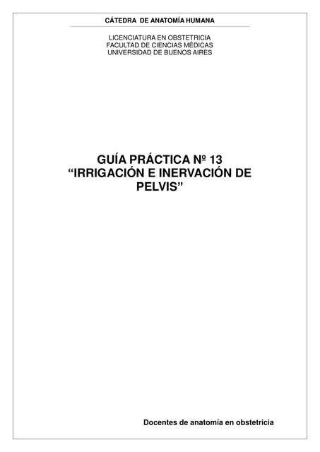 Guía Práctica sobre Irrigación e Inervación de Pelvis Biología