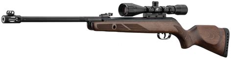 Carabine GAMO HUNTER 440 AS Lunette 3 9 X 40 WR Armurerie Evrard