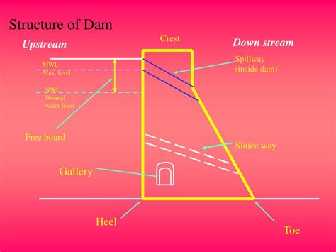 Dam Diagram