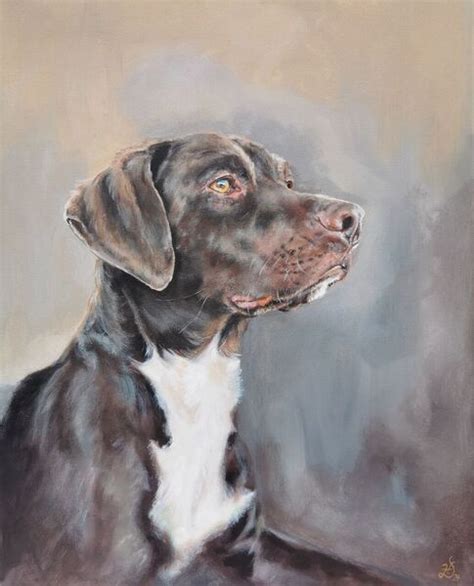 Bild Hundekopf Hund Hundeportrait Malerei Von Heike Deininger