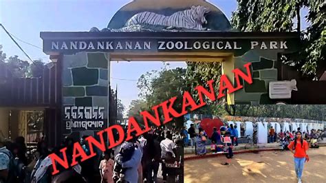 NandanKanan Zoological Park with Jungle Safari - YouTube