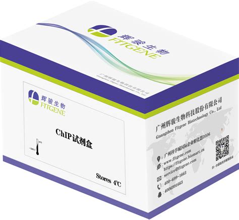 染色质免疫共沉淀chip实验技术服务 Chip Qpcrchip Seq实验外包公司 辉骏生物