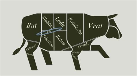 Pieces Of Meat In Cattle Agromedia Home Decor Decals Mesa Istra