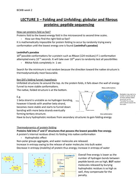 BCMB Week 2 Lecture Notes LECTURE 3 Folding And Unfolding