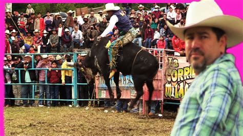 Los Toros Divinos Vs Los Reyes De Jalisco Jaripeo En Nocutzepo