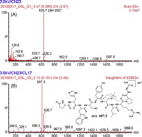 Precursor Ion A And Product Ion B Scan Spectra Of Goserelin