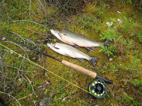 fish lake amphibian club
