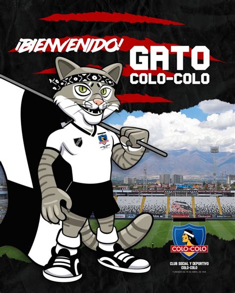 Inesperado Anuncio Club Social Y Deportivo Colo Colo Present A Su