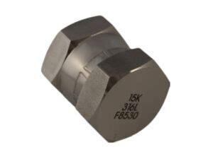 K Psi Bsp Female Swivel Cap Maximator Australia