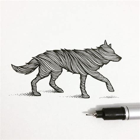 Thiago Bianchini S Wolf Sketch Of The Day