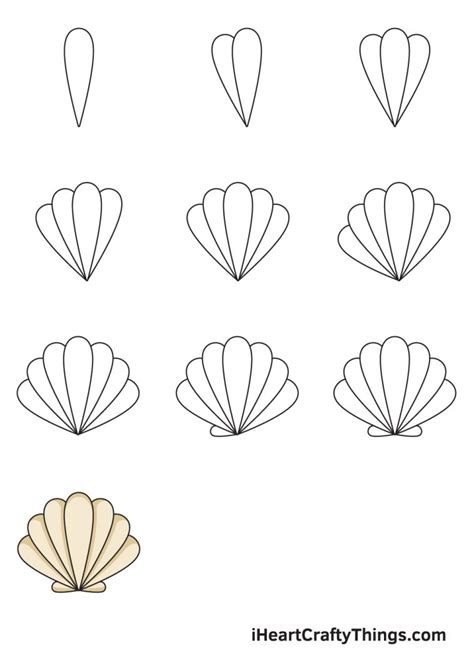 Seashell Drawing - How To Draw A Seashell Step By Step