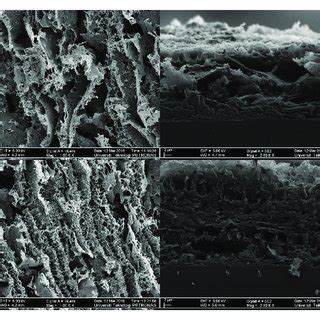 Fesem Images Showing Top View And Cross Sectional View Of Laser Scribed