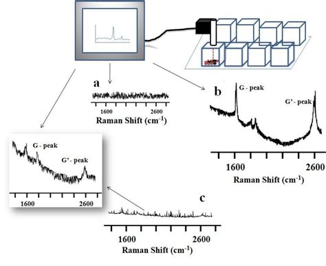 Figure From Combining Portable Raman Probes With Nanotubes For