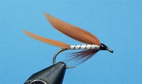 Dolly Varden - Fly Tying - Maine Fly Fish