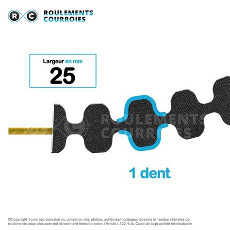 Courroie Htd Double Denture Ref D M Mm Roulements Courroies