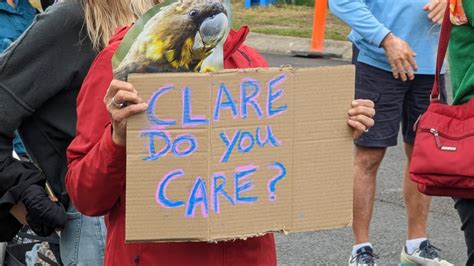 Glossy Black Protesters But No Sign Of Noosa Council Noosa Matters