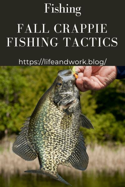 Fall Crappie Fishing Tactics