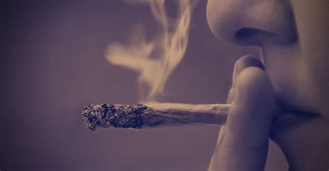 4 Long-Term Effects of Smoking Marijuana - DrugAbuse.com