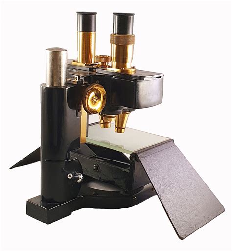 black  gold microscopedescription automatically generated