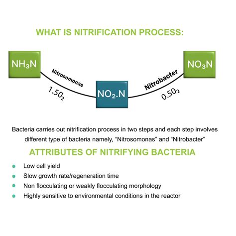 Effective Ammonia Removal From Wastewater Levapor