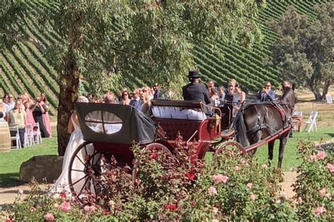 Horse Drawn Carriages for Weddings – Carriage of Occasion