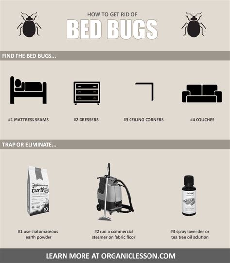 How To Get Rid Of Bed Bugs Fast Using Home Remedies In 2021 Rid Of Bed Bugs Bed Bugs Bugs