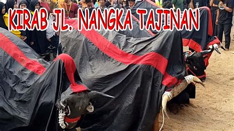 Bantengan Putro Rejo Ledok Feat Bantengan Lembu Anabrang Kirab