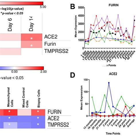 A Log P Value For The Tmprss Ace And Furin Expression Levels