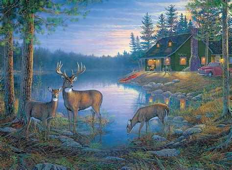 Deer Lake Doe Cabin Buck Lake Hd Wallpaper Peakpx