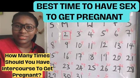 When To Have Sex To Get Pregnant How Many Times Should You Have Sex