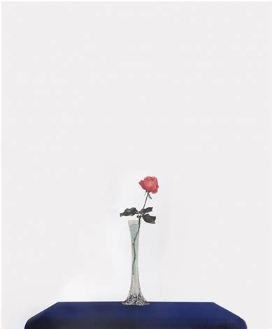 La Rosa Par Michelangelo Pistoletto Sur Artnet