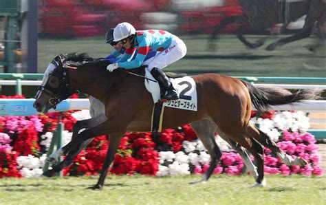 ＜中山5r新馬戦＞レースを制したジュピターズライト（手前）（撮影・郡司 修） ― スポニチ Sponichi Annex ギャンブル