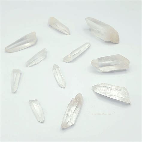 Lemurian Seeds Thế Giới Tinh Thể Cao Cấp Asteria Gem House