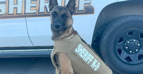 Sheriffs K9 Receives Body Armor Donation News