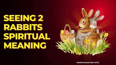 Seeing Rabbits Spiritual Meaning What To Do Now Mindful Mastery