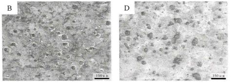 Effect Of Ultrasonic Time On Microstructure And Properties Of Nodular Cast Iron Zhy Casting