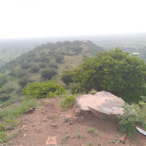 lekhnia pahar  india historyfacts services