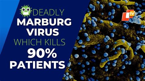 What Is Marburg Virus Worlds Deadliest Disease That Kills Of