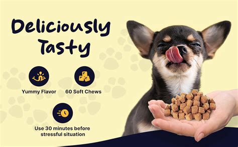 Healthy Pup Calming Chews For Dogs With Melatonin 60